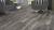 Ламинат My Floor Villa M1204 Дуб Портовый Серый фото в интерьере