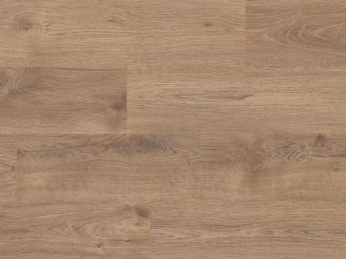 Ламинат EGGER Laminate flooring Дуб Кортина (H2716) фото в интерьере