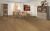Ламинат EGGER Pro Classic EPL156 Дуб Азгил медовый (33 кл) фото в интерьере