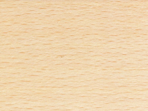 Плинтус ШПОН Pedross (60/22 мм) Бук чистый лакированный фото в интерьере