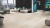 Ламинат Kronospan Kronofix Classic Дуб Снежный 5303 фото в интерьере